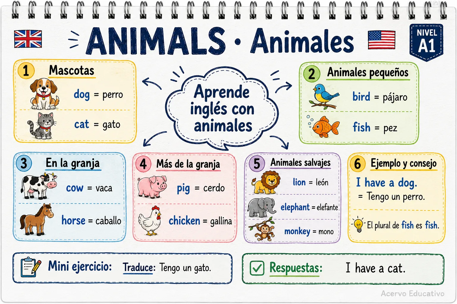 Mapa mental - Animales (A1)